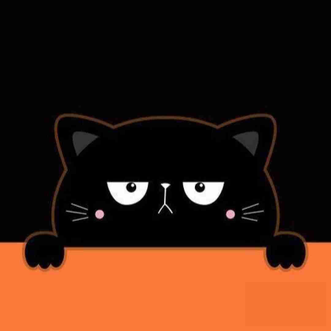  عو عو از صادق بوقی - ترند اینستایی