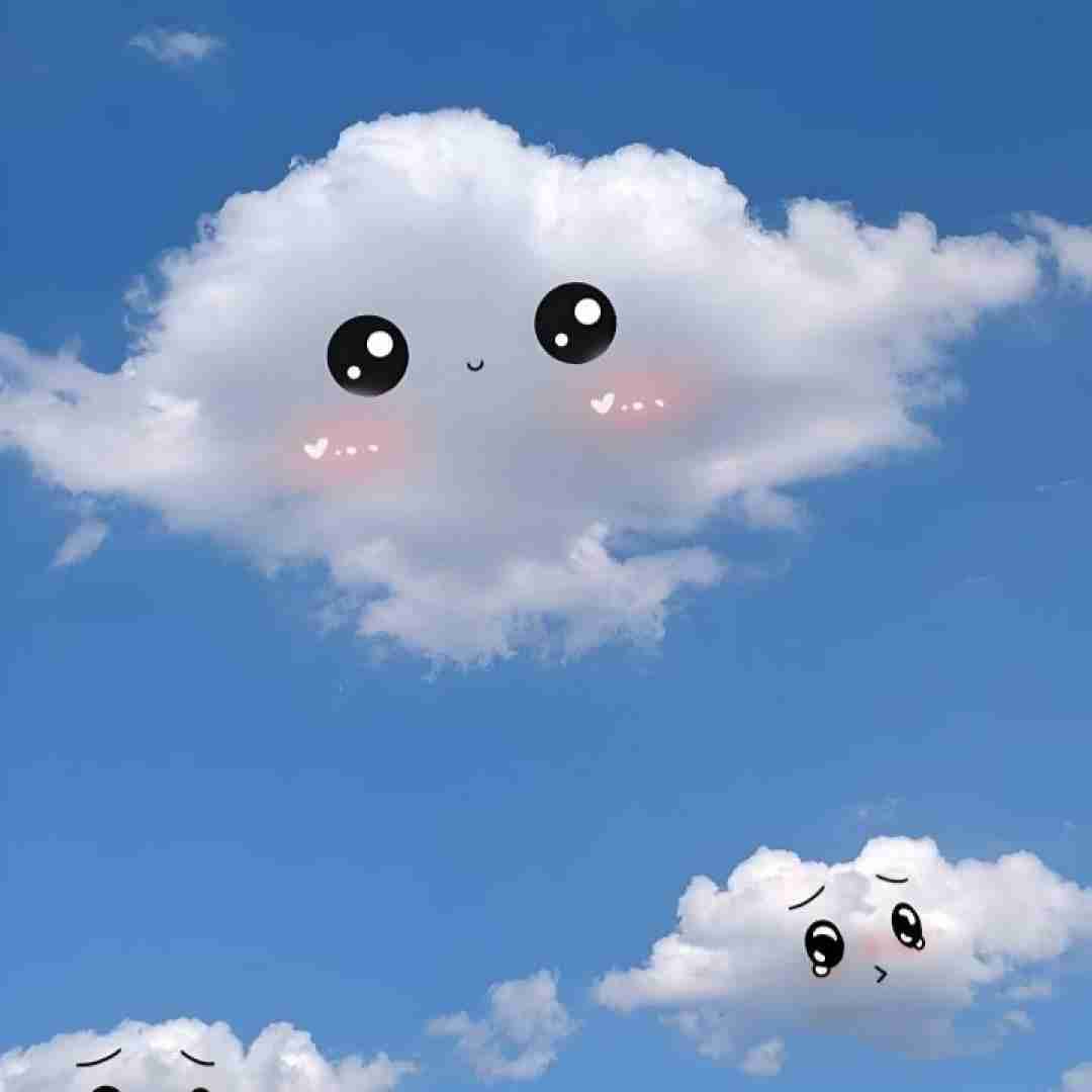 مائده خادمی کیجا مگر ندوسته مه کاره چپونی کردمه شهر کناره