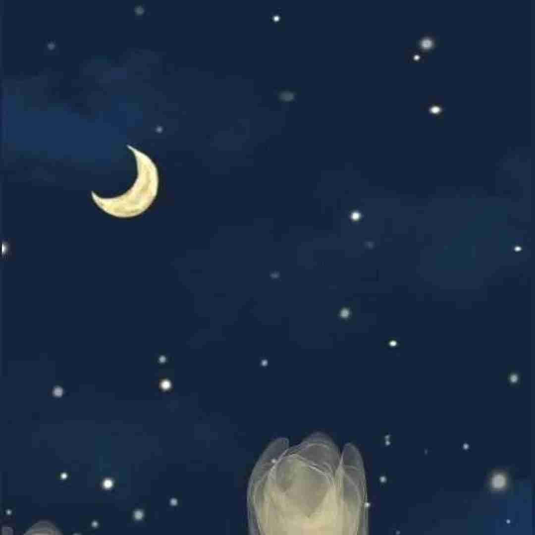 تو تنها کسی هستی که میتونه شبا خوابو