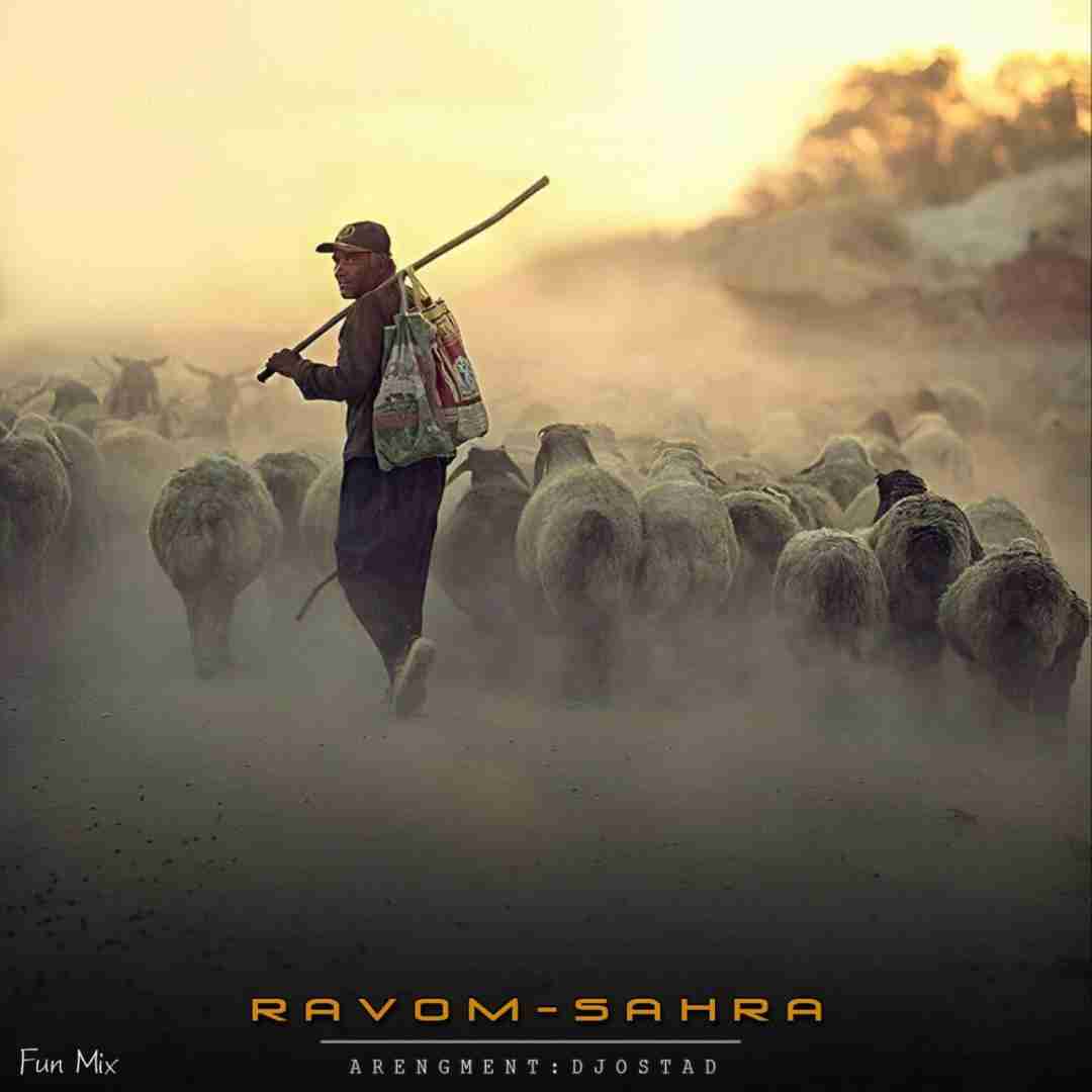 دیجی استاد روم صحرا