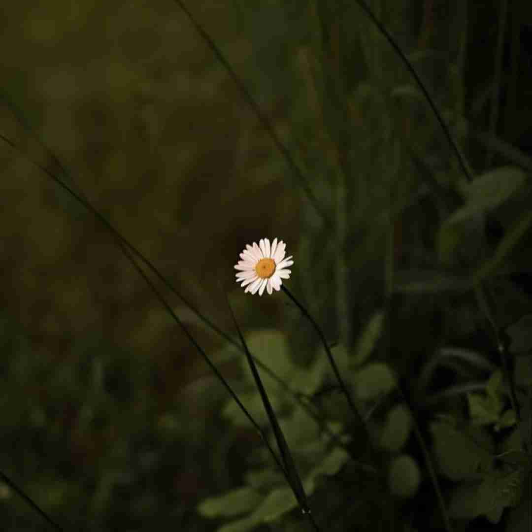  تو که تو قلب و وجودم خونه کردی با صدای زن