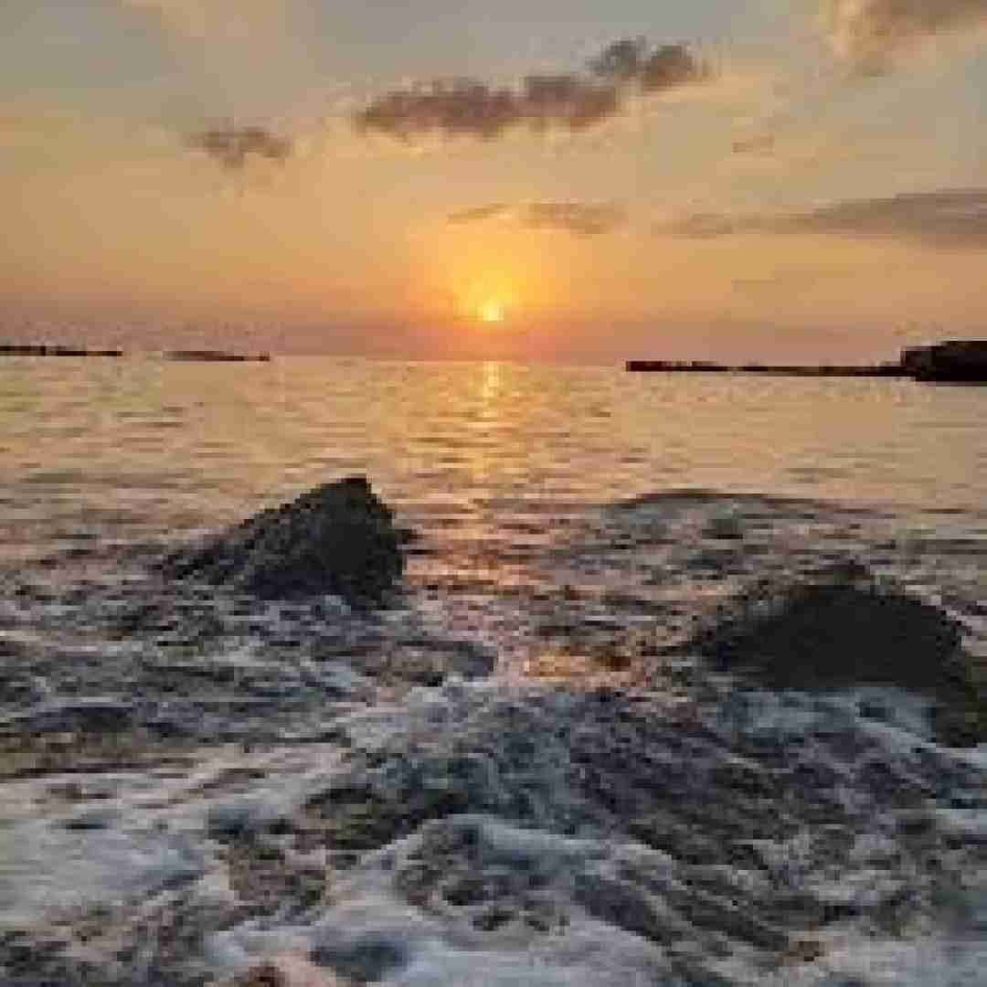 فاطمه عطایی قلندر من غریبمه