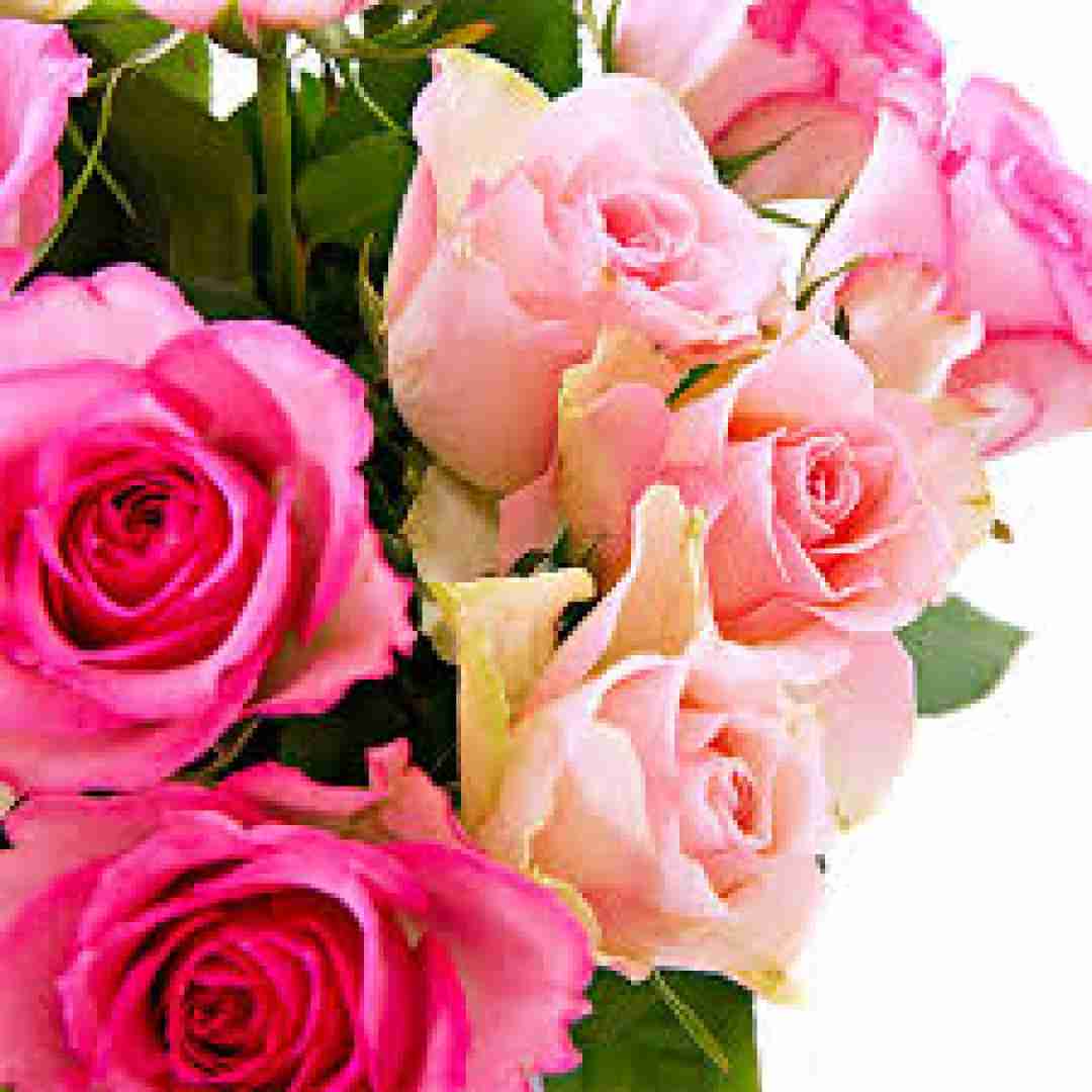  کل ای شهر حسود عشق منو تو بین بسمه لش وبان ای تخته