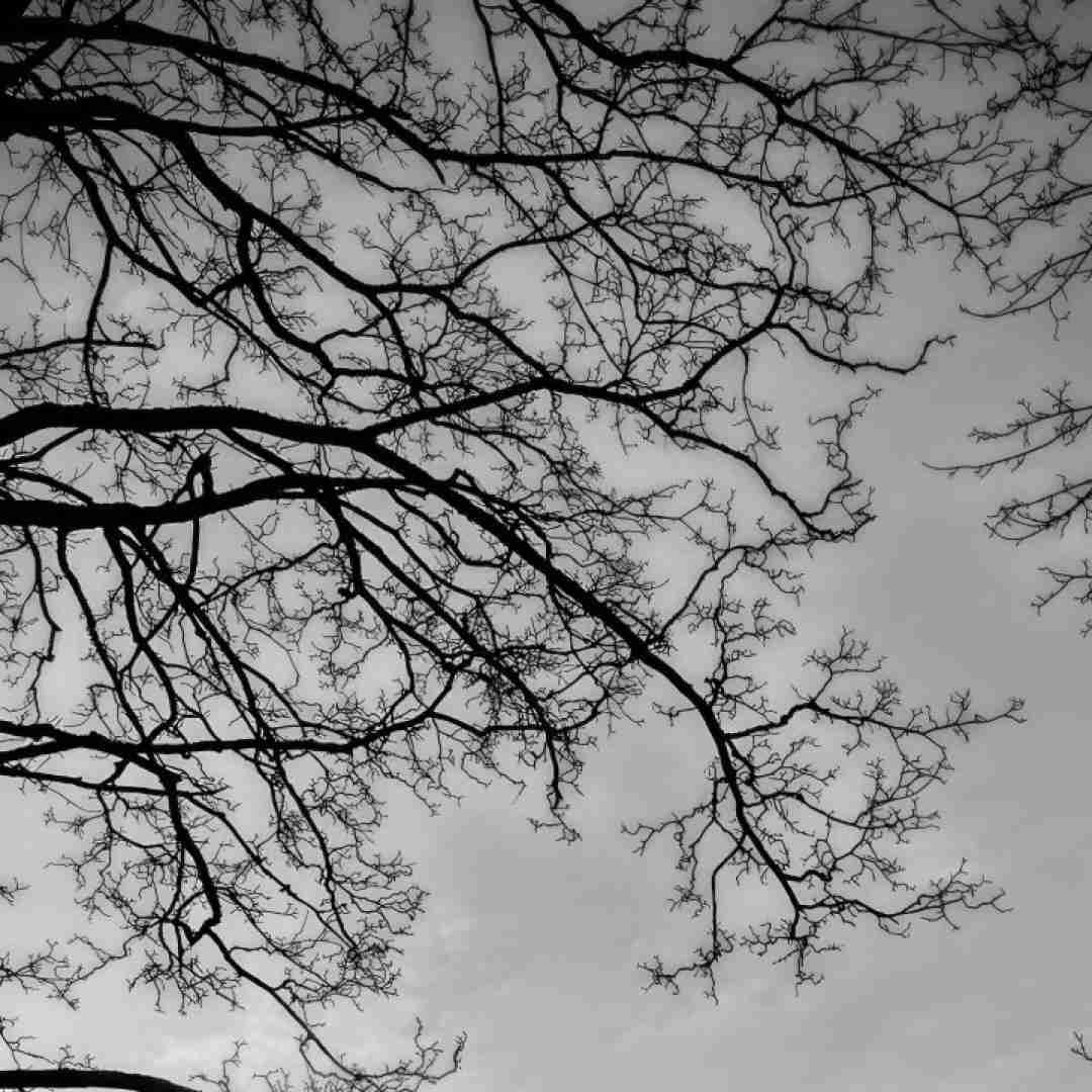  ای بی خبر از حال بیمارم هوش مصنوعی