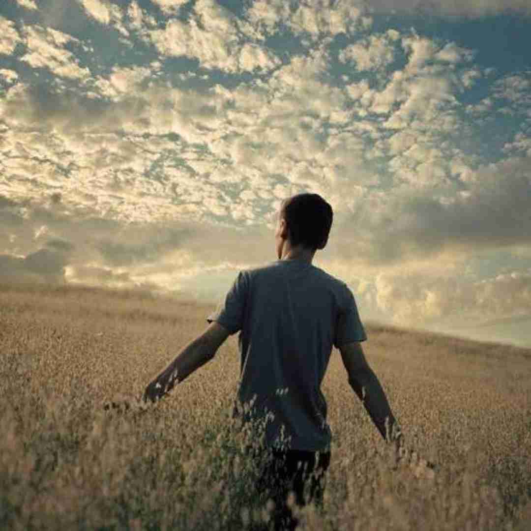 مهراب هرجا تو زندگیت شکستی برگرد پیش من