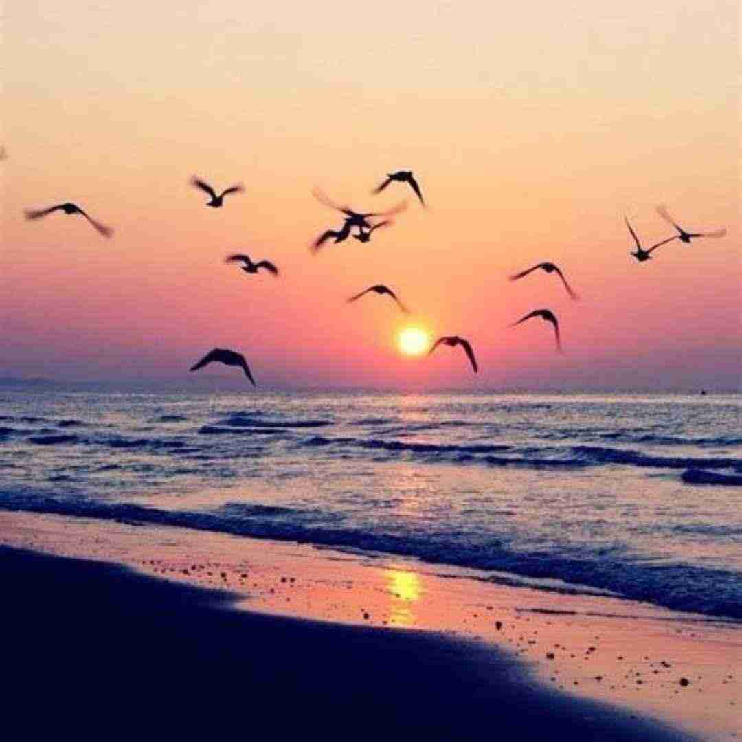  بلد حال منی میدونی مال منی با صدای زن