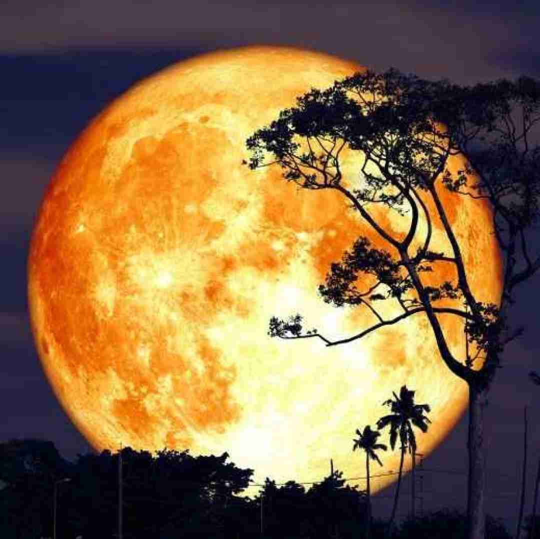  همیشگیه قلبم پره دردم شده سردم میشه بیای