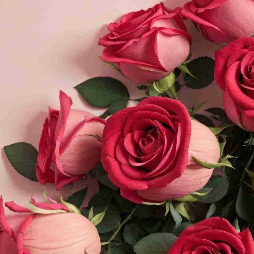  دختر بدی نبودم با تو شدم بد من اینجوری نبودم