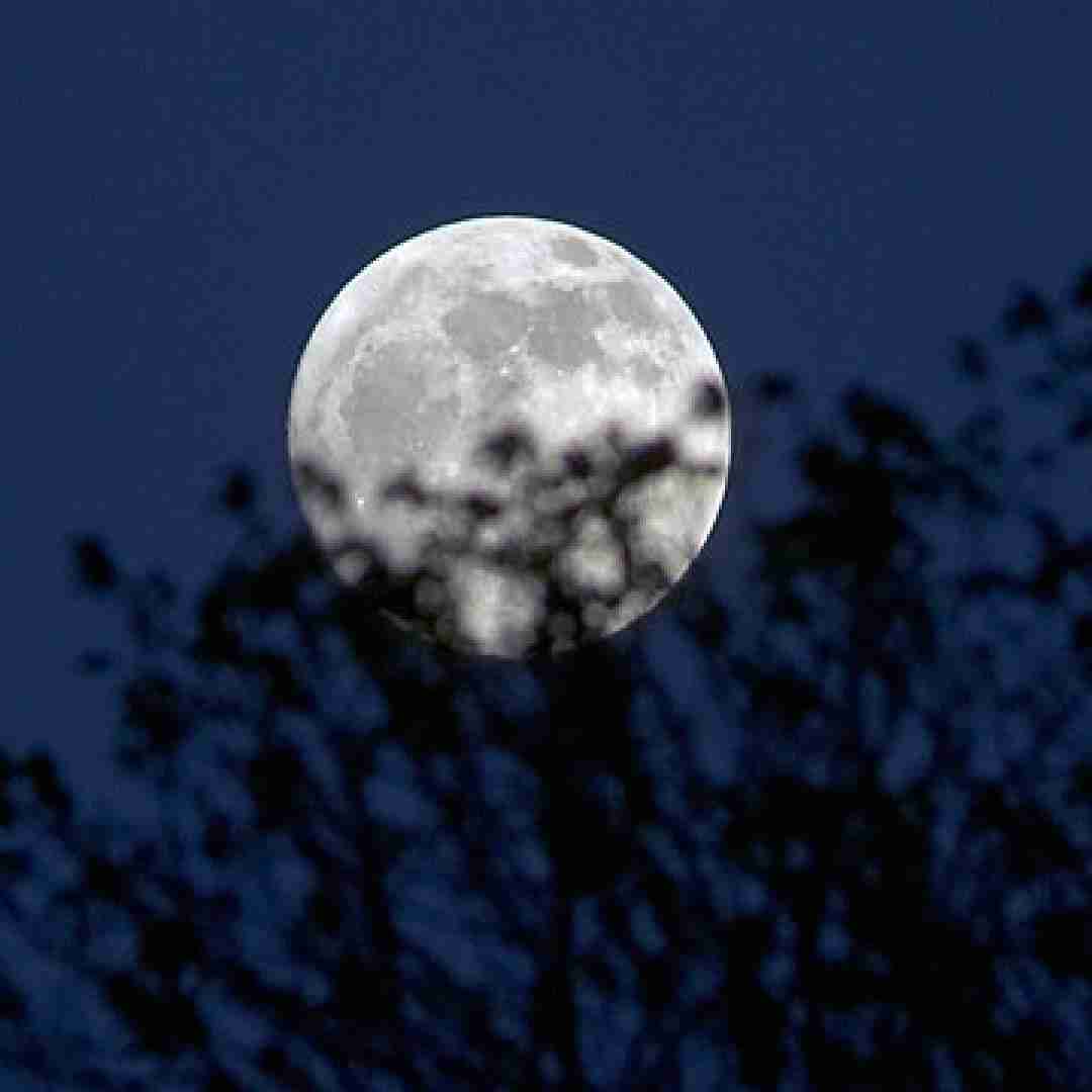 سایا و دیجی سجاد موجی
