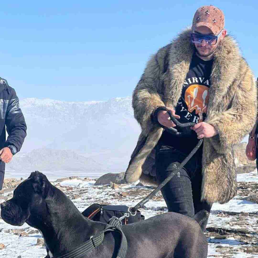 هومن آدینه مه او اشکسه بالم که دارم شوق پرواز