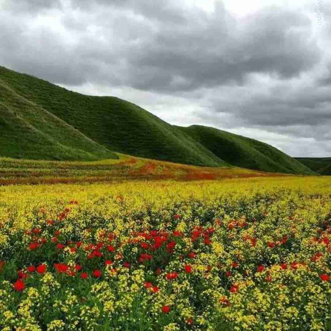 یکیو میخوام مثل همه نباشه تا تهش باهام باشه