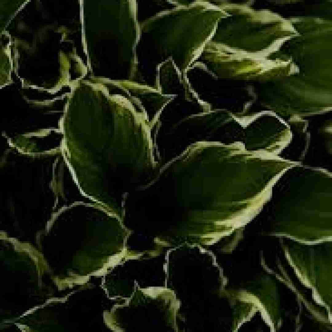  از یاد من برو خستم برو دلگیرم با صدای زن