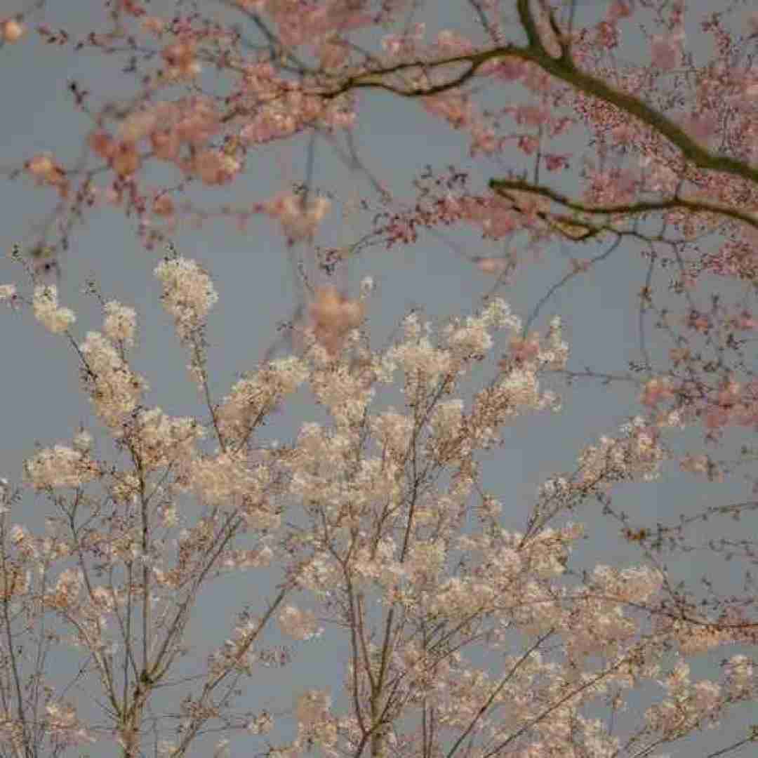  کاش بدی بهم الان یه پیام بد هوای تورو کرده دلم