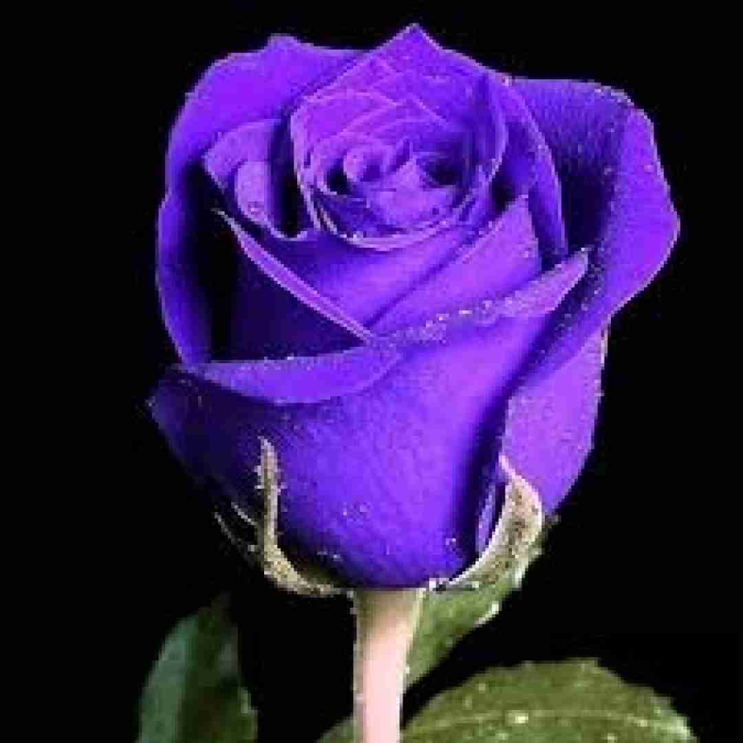 فاطمه عطایی دلخواه