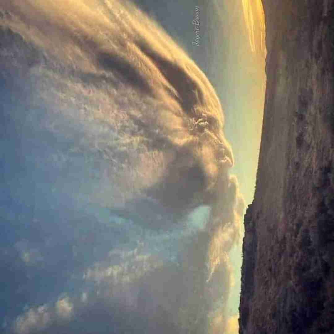 تو خونم میره زهره ماری من که پایت بودم حتی کله خالی