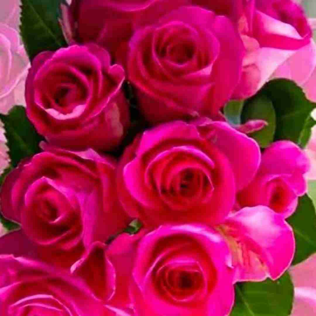 اگه راه داره برگرد بیا ستاره ی آسمانمی اگه ارومیه بشی