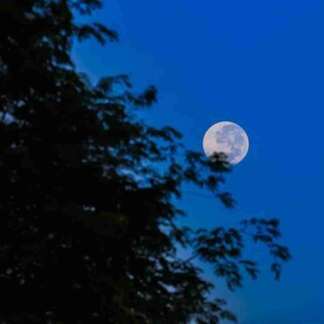 سیمگه و ماوی گری بیر شهری سِومِک