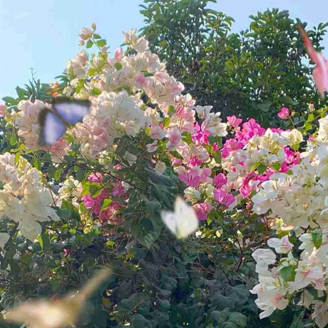  قالم گذاشت و رفت که رفت