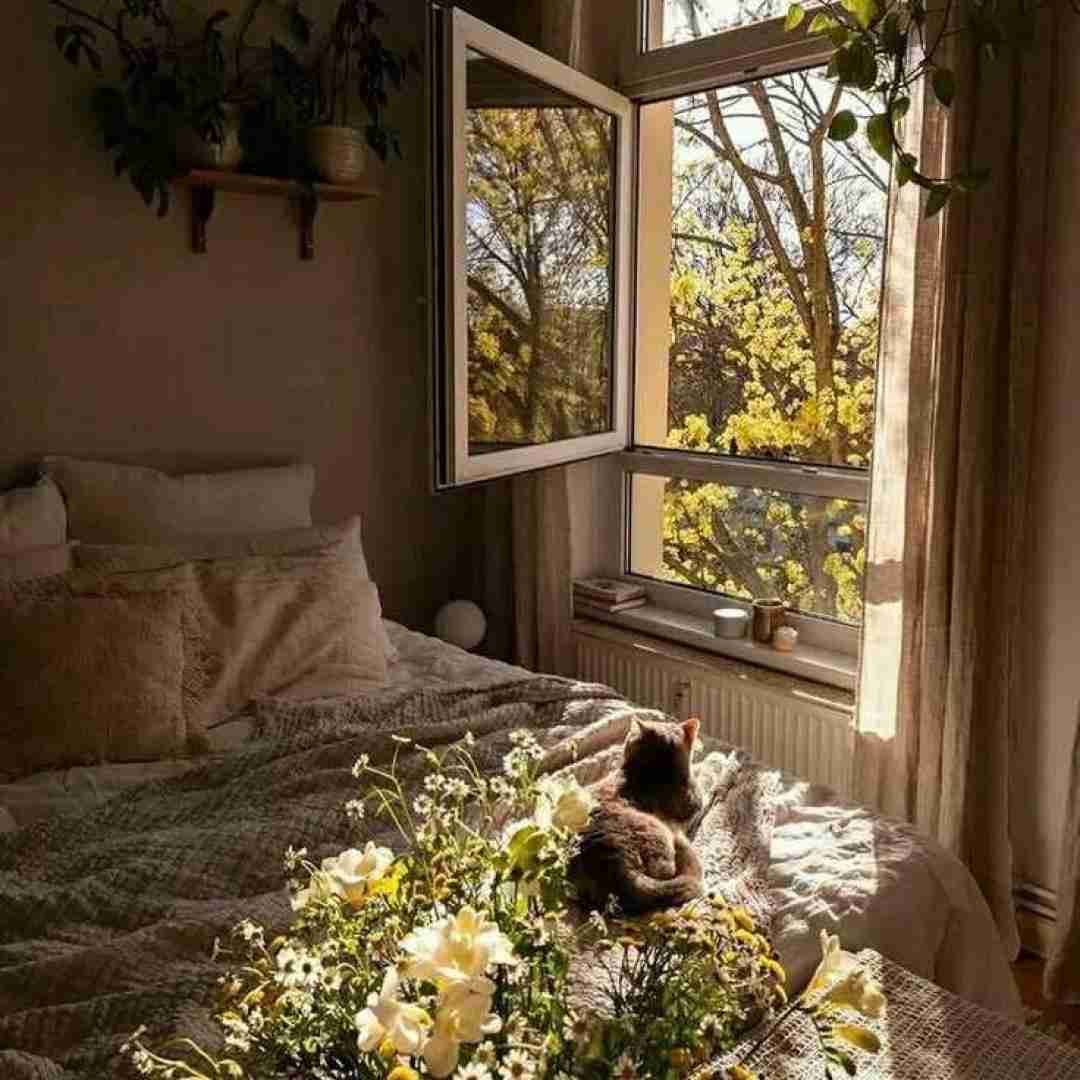 یه روز یه قاصدک تو هوا میزد پرسه ناراحت و گریون