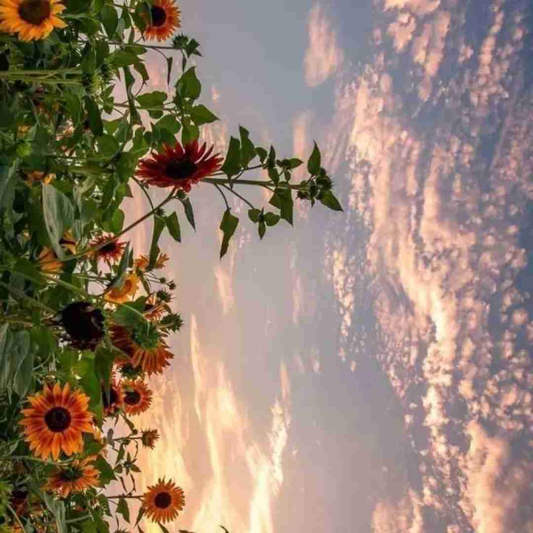  میدونم توام درست نمیبره خوابت میدونم خاطره ها نمیره