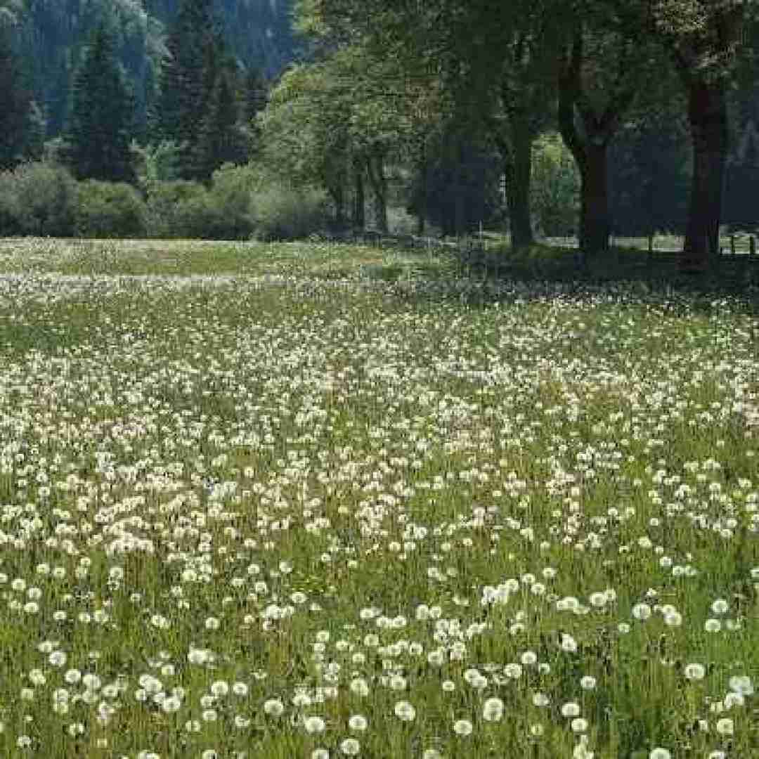 دختری که بوس میده دشمنی که دوست بوده