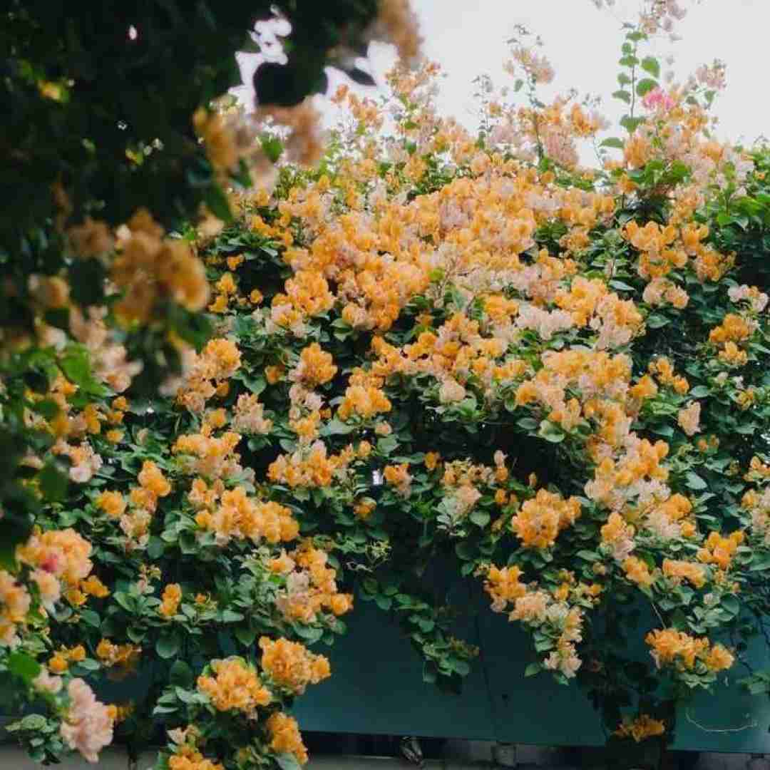 فاطمه عطایی یادش بخیر راه شیمی لب دریا