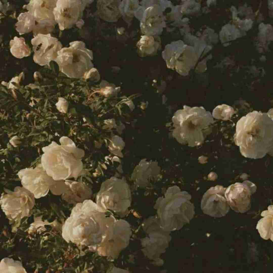  هنوزم تو گوشیم دخترم سیوی بین همه آدما تو زندگیم