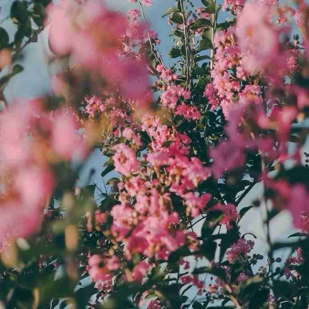 من میدیدمت اینا ولی دیدت میزنن مثله قولاته