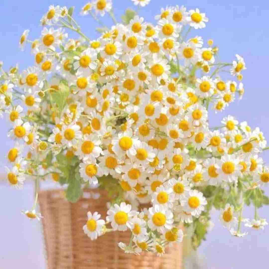  رفتی نه جات دیگه خالی نی از وقتی من نیستم
