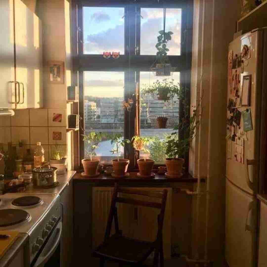 من نمیگم دختر میگم بهش فرشته