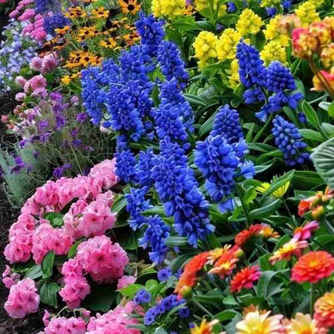 چشاش شده دوام به این در حاجی چشم خشک شد