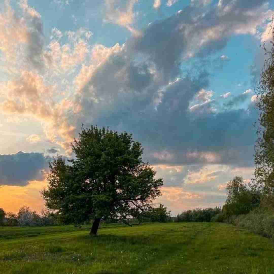  یه شب که تنها شدی بیوفت یادم یه سال گذشت