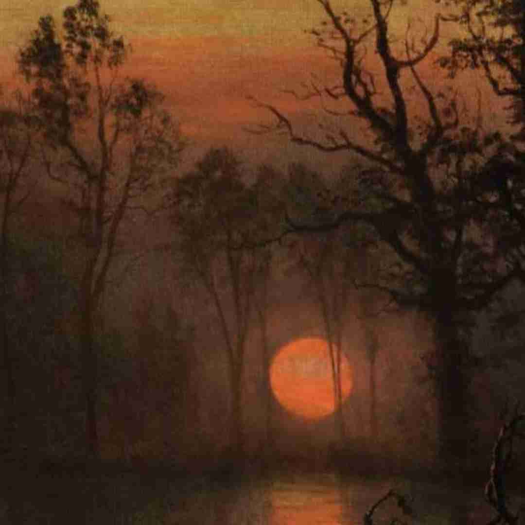  دلم خونه که هر شب خون میشه چشام