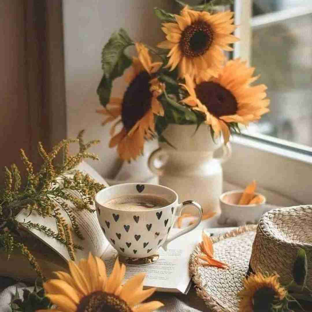 چون من دوست ندارم حتی یه وقت اشتباهی بگیرمت