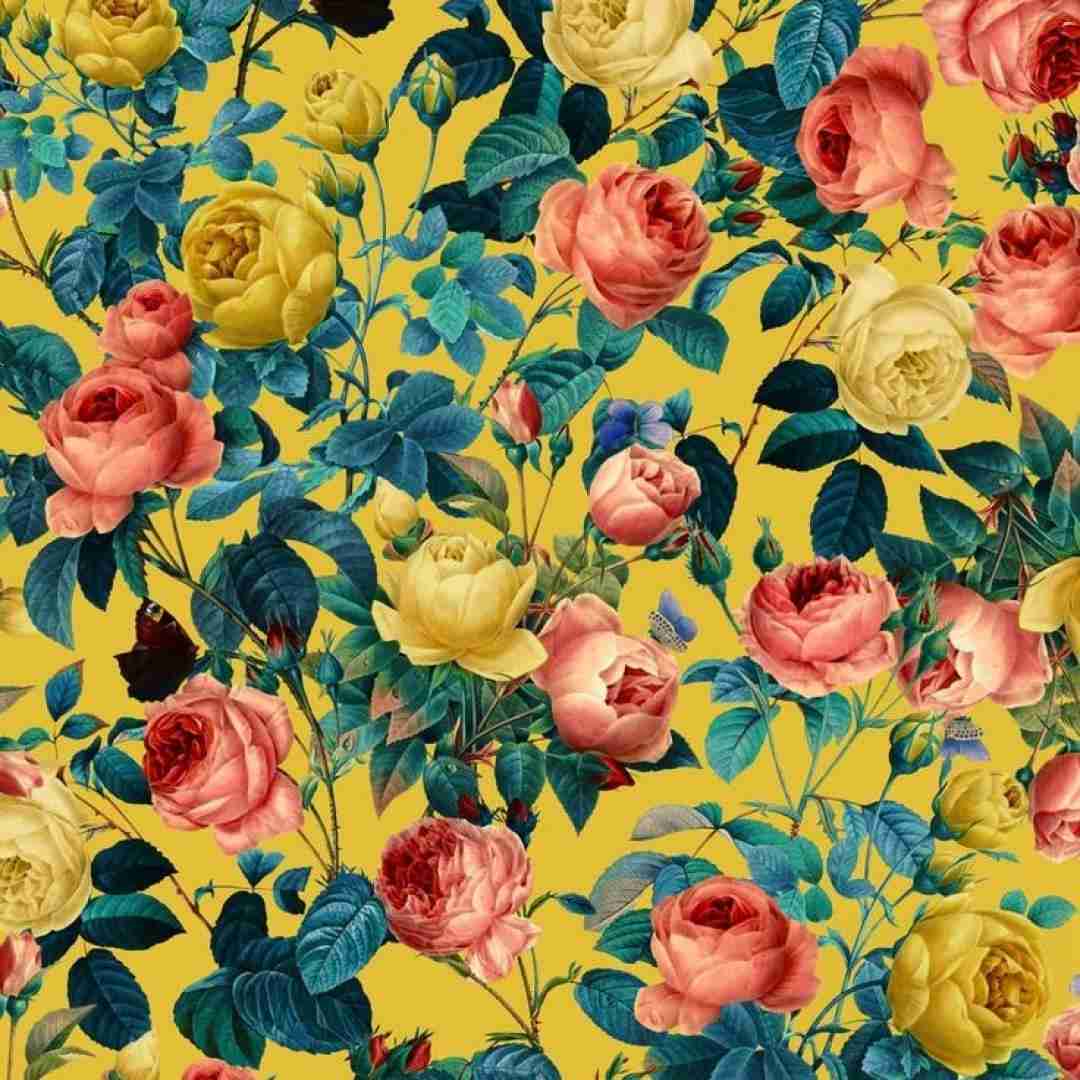  برگرد از این دیوانگی یا قانعم کن یا نرو با صدای زن