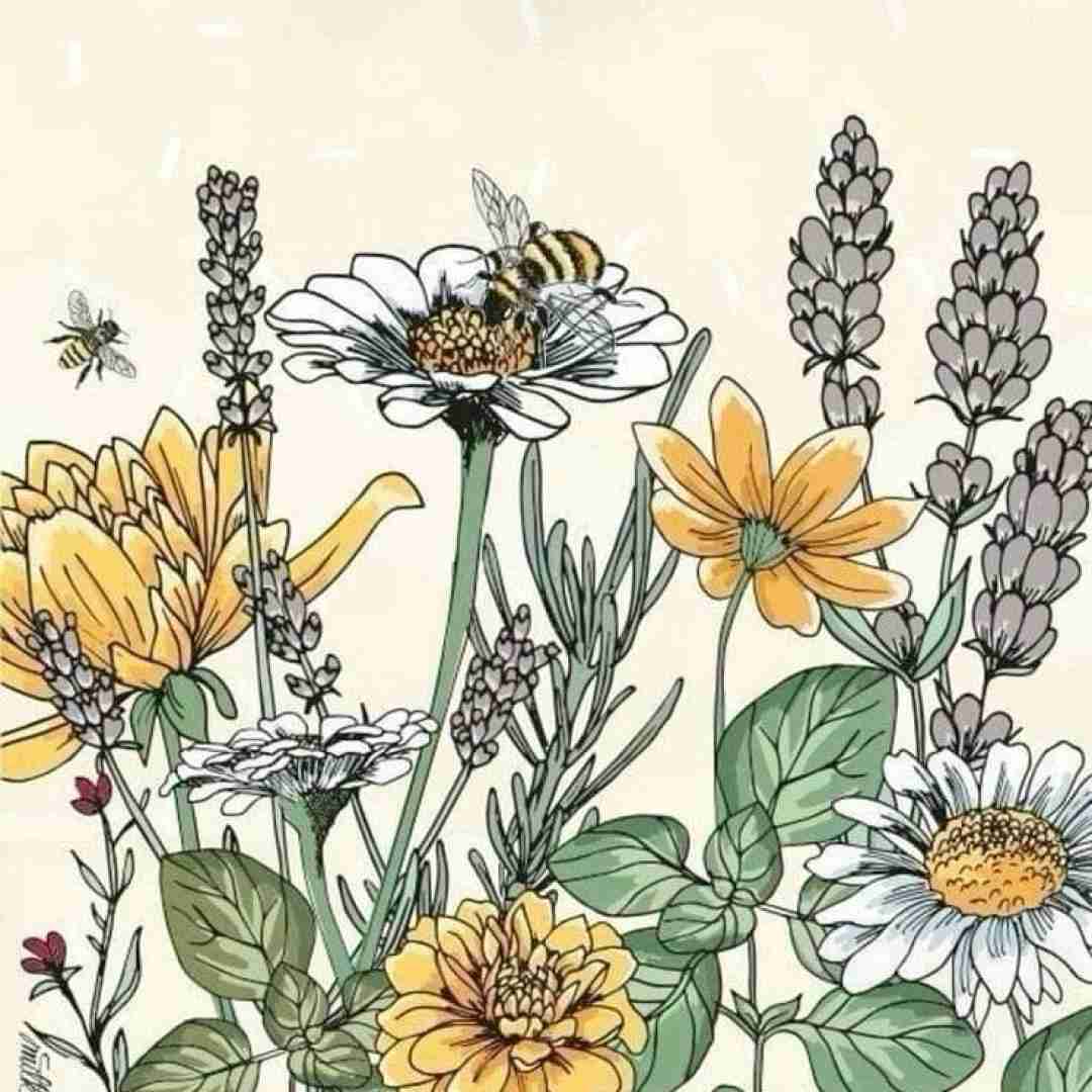 دوست داری باز واسم ناز کنی نه بیب چشاش قرمزه یعقوب یعقوب کیه