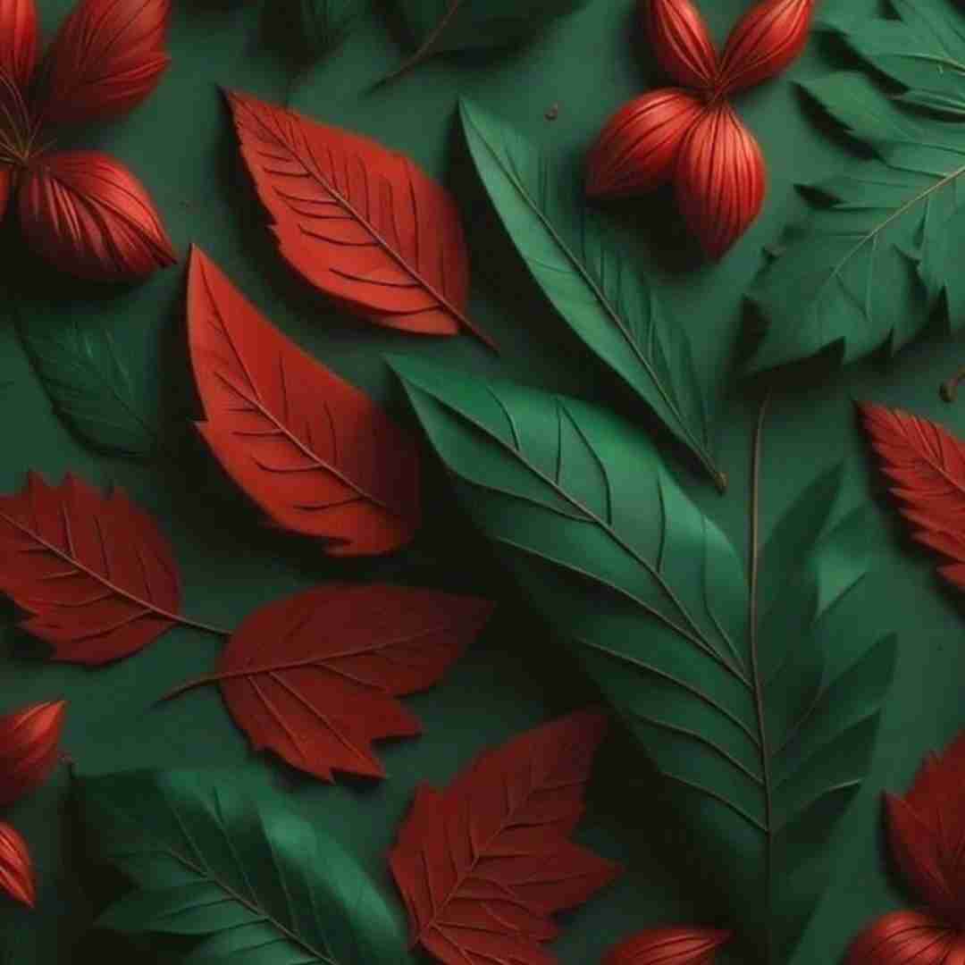 کاش از اون اون نمیخندیدی سخته حرفم رسیده وقت رفتن