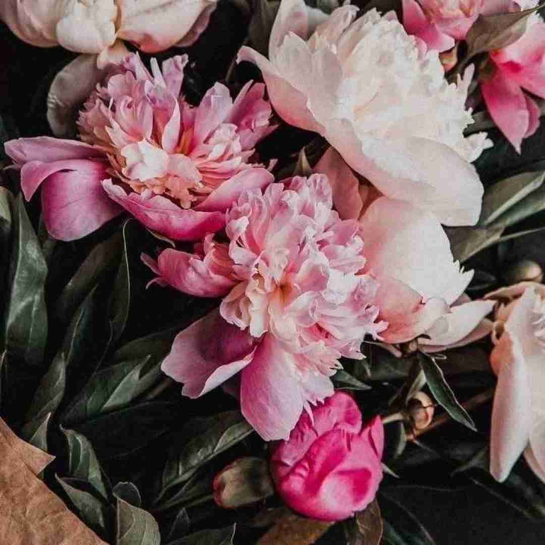  همش از آدما در میرم جدیدا همش توی خودم درگیرم شدیدا