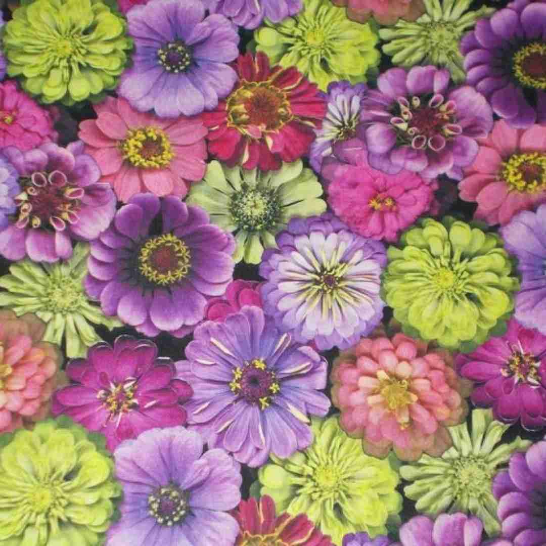  آغوشتو به غیر من به روی هیشکی وا نکن با صدای دختر