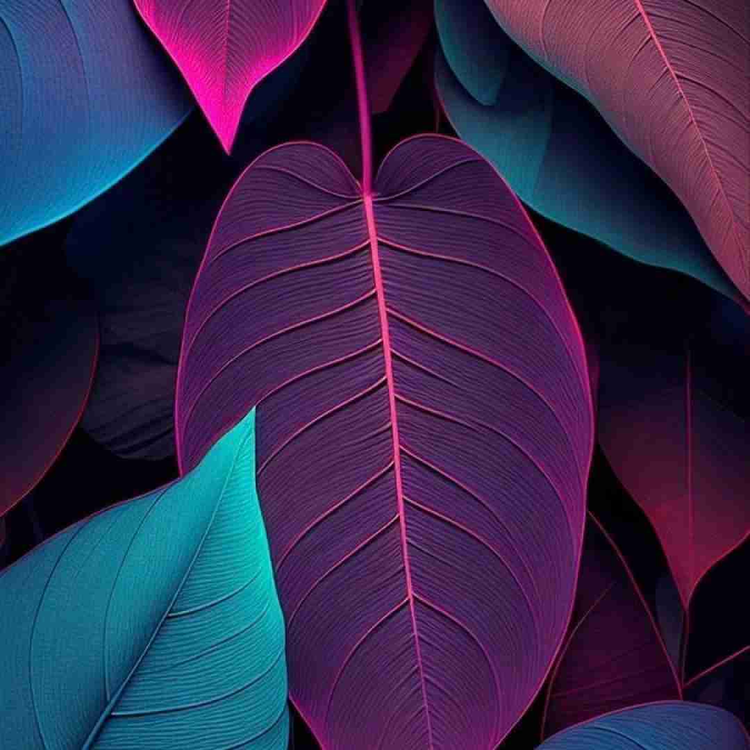 فاطمه رحمانی بسوته دل