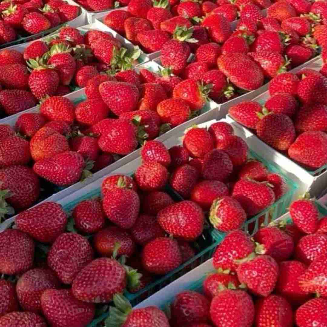 یه نگام کن ای پسر دله منه بردی تو با صدای دختر اینستایی