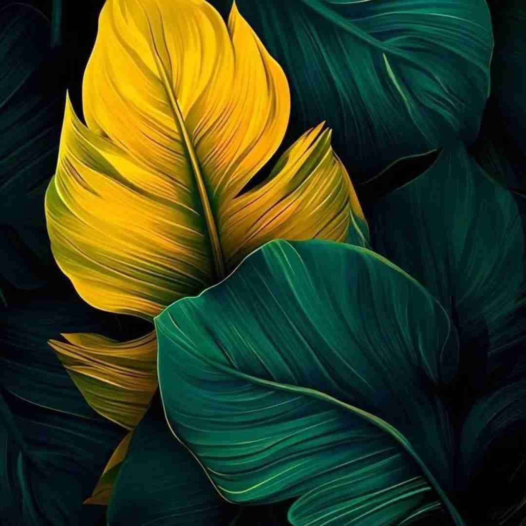 بیبی این سیگار بهمن مارو ندیدی اصلا آشوب به پا کن