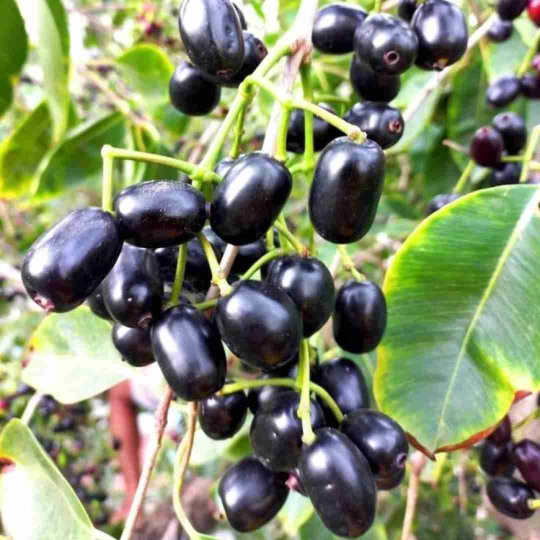  خوشگل ترین دختری که دیدم بحث تو با همه (ترند اینستایی)