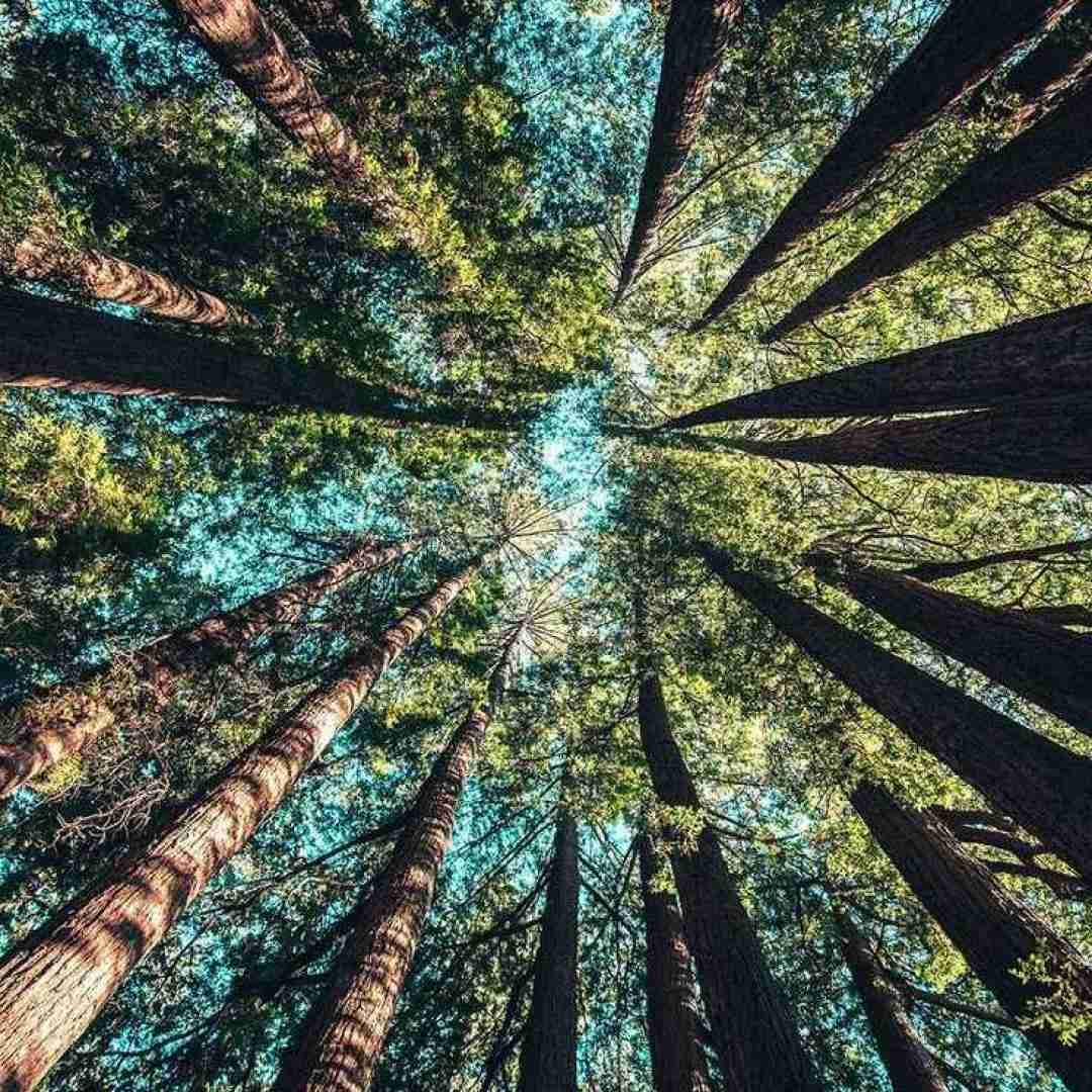 تو برام مث بارونی واسه کویر آدم دوس داره