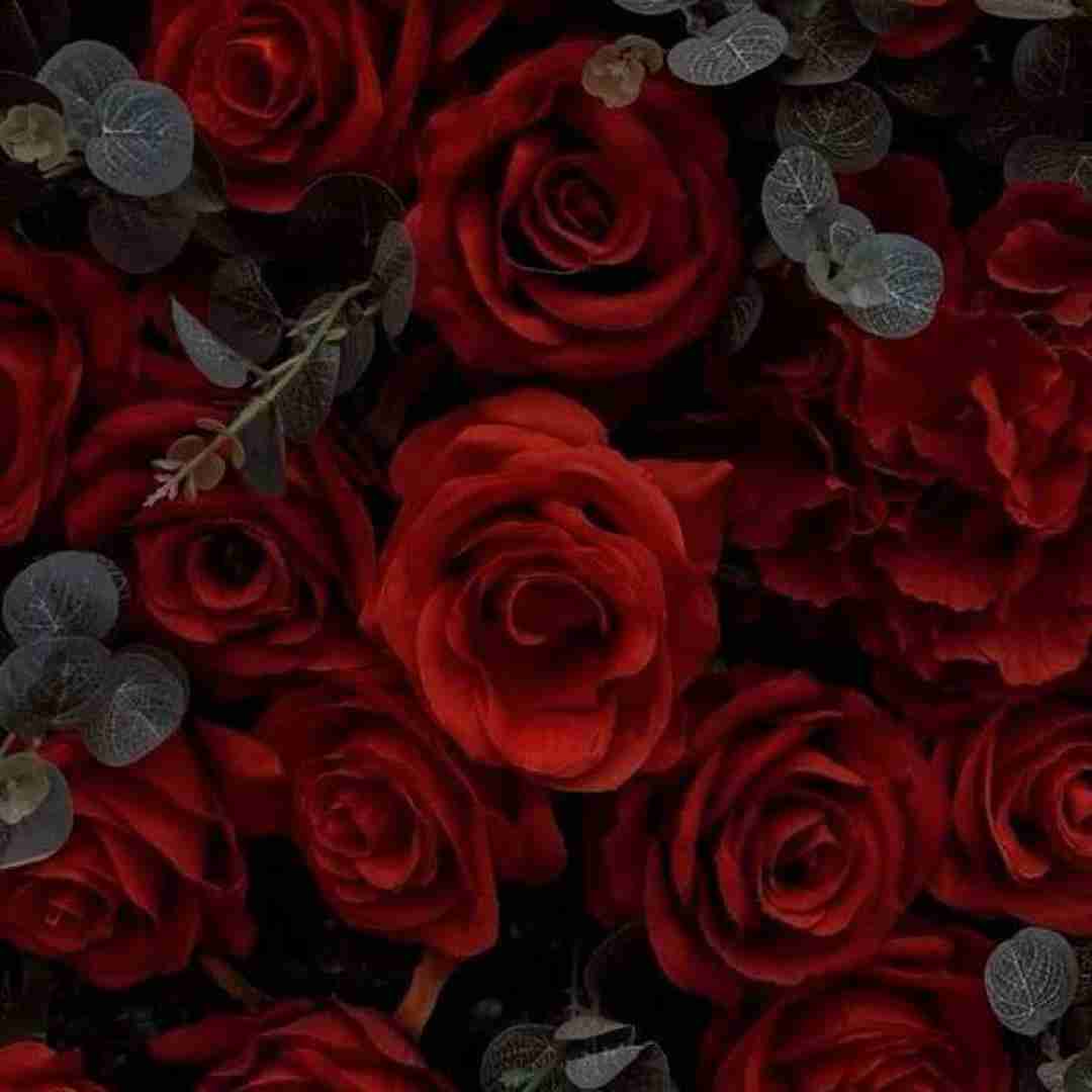 میاره دو تا پیک جلو روم و هی میگه (ترند اینستایی)