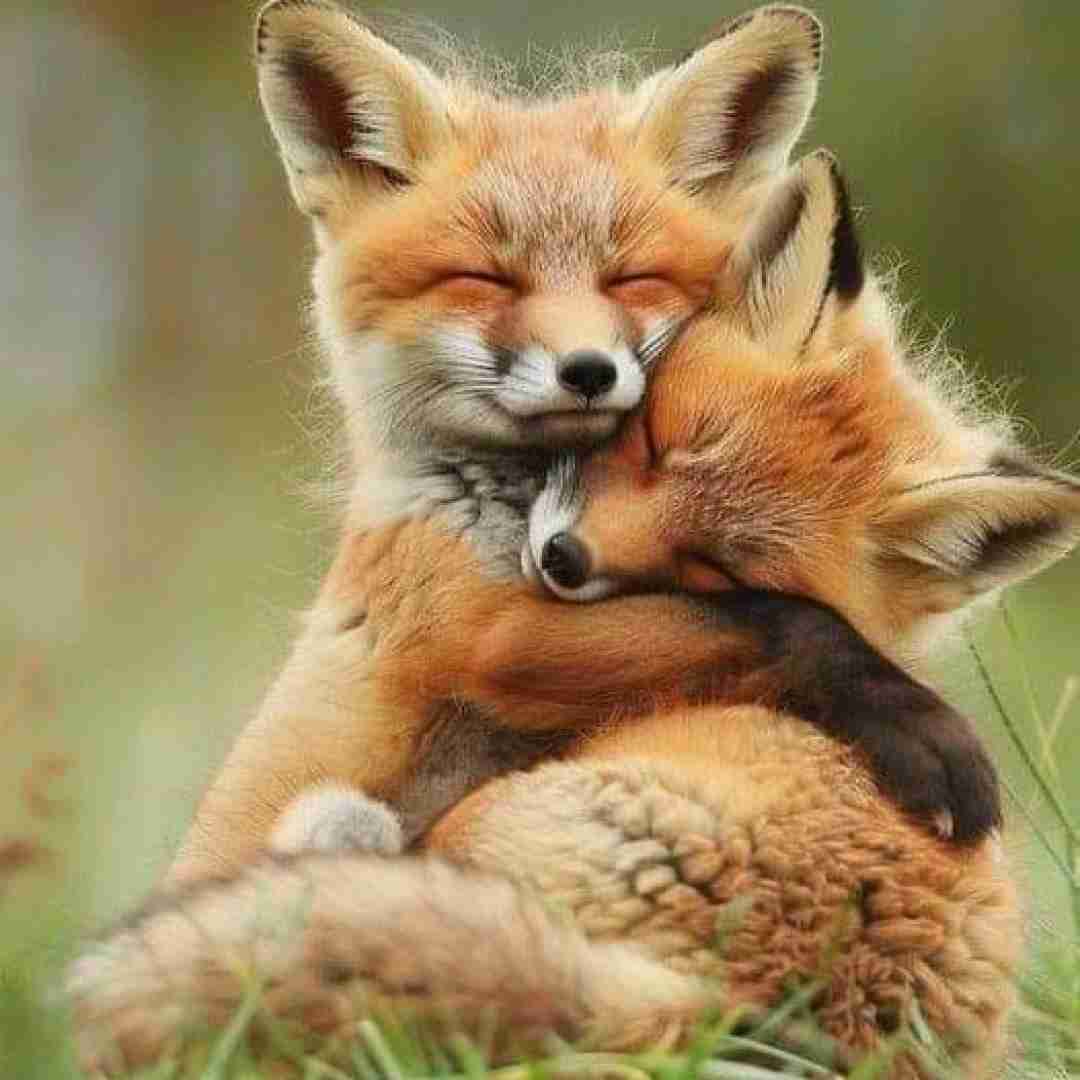  پسرا جدیدا فسن دخیا هم از دم