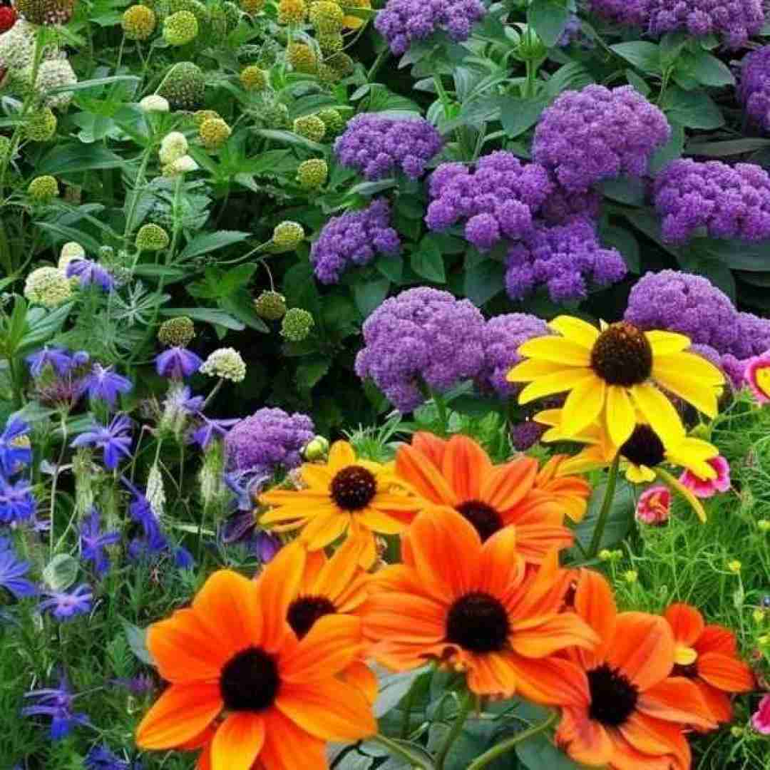  هرچی از حسم بهت گفتم بیشتر شدم درونگرا تر