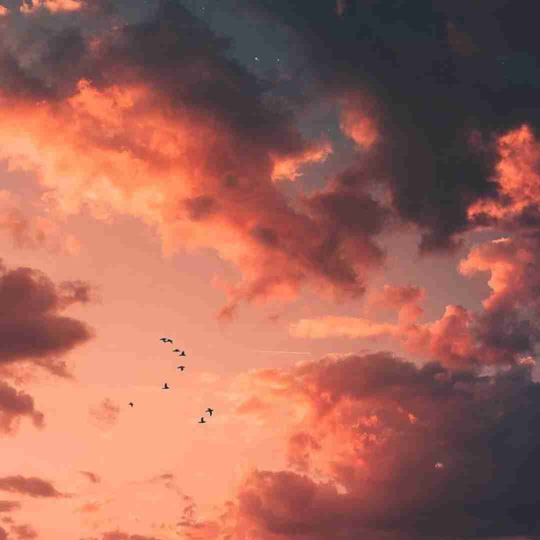  میزنه مهتابی تو تاریکی تو فکر اینکه این تنهایی (میکس اینستایی)
