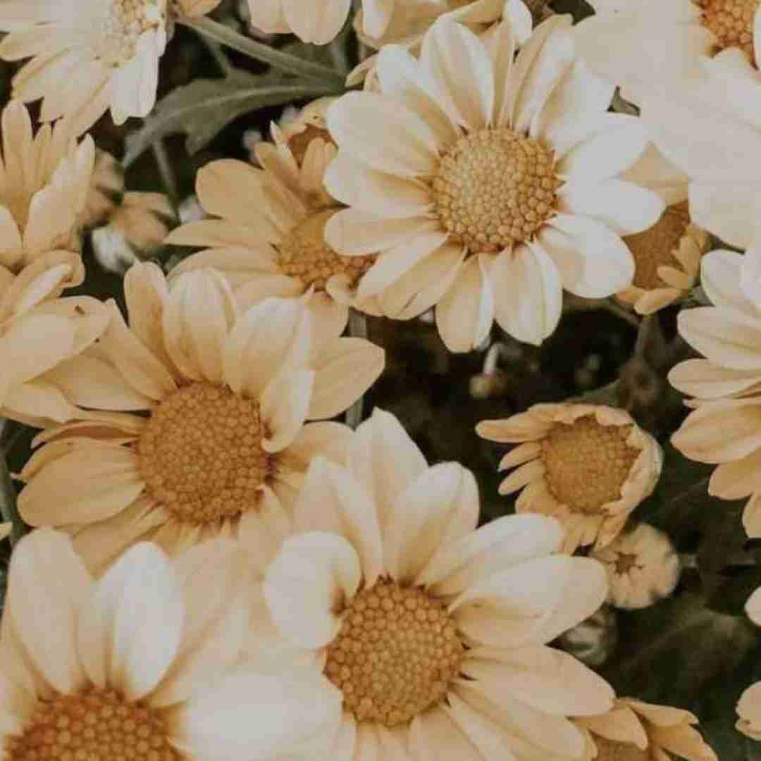 تو نت گوشیم نوشتم تو بودی قاتلم