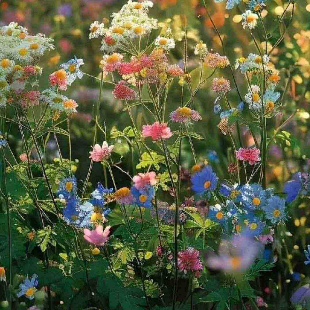 خبر رسیده بعد من با چند نفر بودی